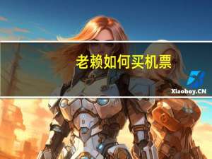老赖如何买机票