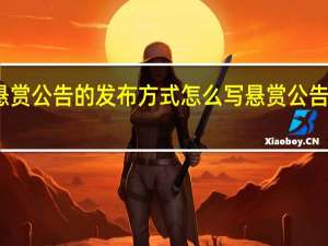 老赖悬赏公告的发布方式怎么写 悬赏公告与悬赏通告