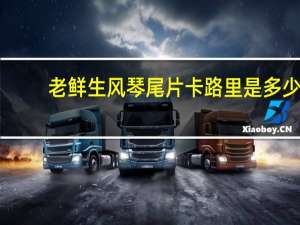 老鲜生 风琴尾片卡路里是多少