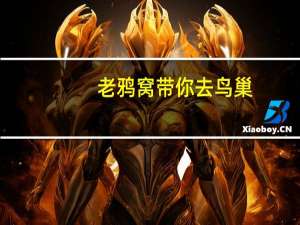 老鸦窝带你去鸟巢