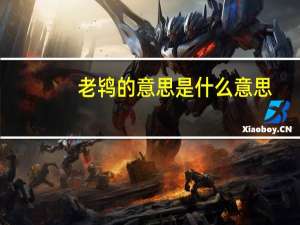 老鸨的意思是什么意思（老鸨是什么意思）