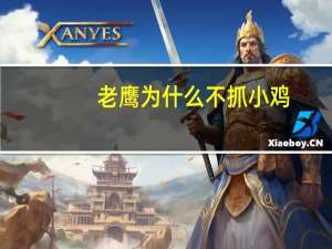 老鹰为什么不抓小鸡