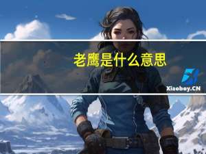 老鹰是什么意思