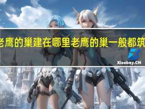 老鹰的巢建在哪里 老鹰的巢一般都筑在哪里