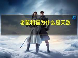 老鼠和猫为什么是天敌