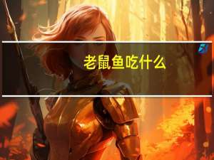 老鼠鱼吃什么