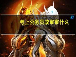 考上公务员政审审什么