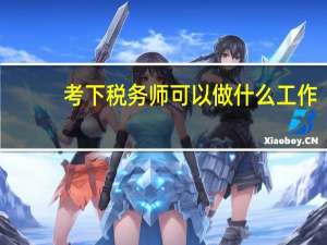 考下税务师可以做什么工作