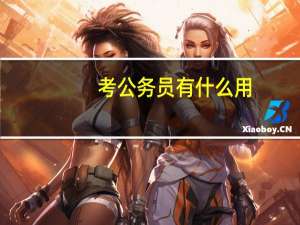 考公务员有什么用