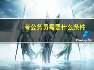 考公务员需要什么条件