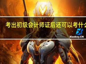 考出初级会计师证后还可以考什么证