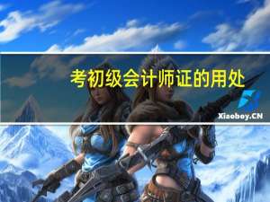 考初级会计师证的用处