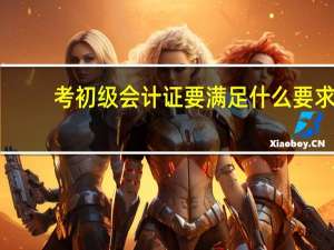 考初级会计证要满足什么要求