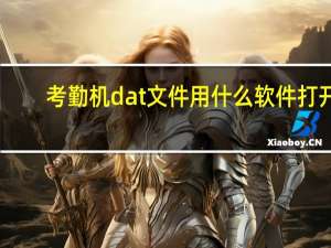 考勤机dat文件用什么软件打开（dat文件用什么软件打开）