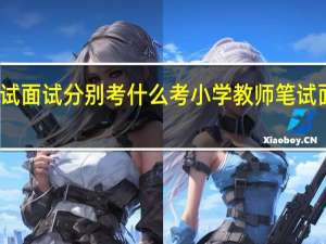 考小学教师笔试面试分别考什么 考小学教师笔试面试分别有什么内容