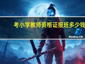 考小学教师资格证报班多少钱