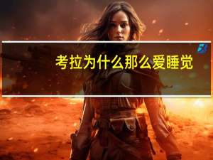 考拉为什么那么爱睡觉