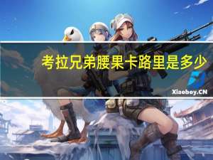 考拉兄弟 腰果卡路里是多少