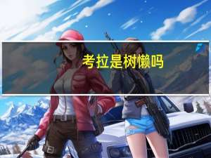 考拉是树懒吗
