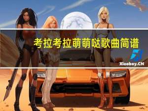 考拉考拉萌萌哒歌曲简谱（考拉考拉）