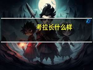 考拉长什么样