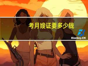 考月嫂证要多少钱