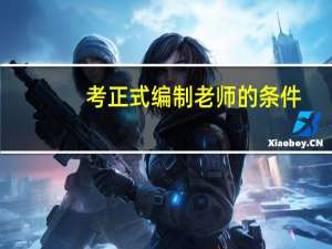 考正式编制老师的条件