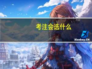 考注会选什么