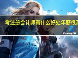 考注册会计师有什么好处 年薪很高吗