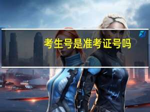 考生号是准考证号吗