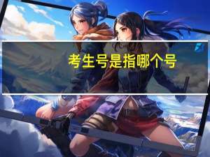 考生号是指哪个号