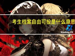 考生档案自由可投是什么意思