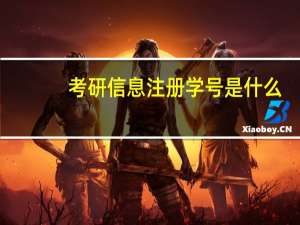 考研信息注册学号是什么