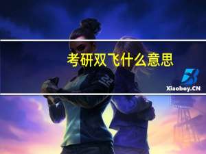 考研双飞什么意思