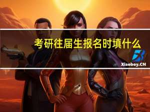 考研往届生报名时填什么