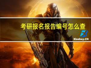 考研报名报告编号怎么查