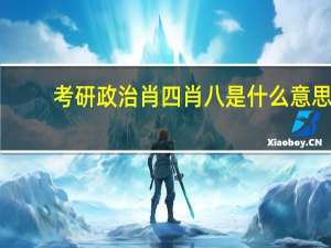 考研政治肖四肖八是什么意思