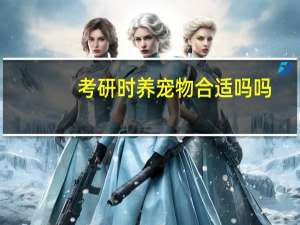 考研时养宠物合适吗吗