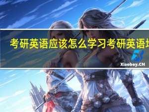考研英语应该怎么学习 考研英语培训