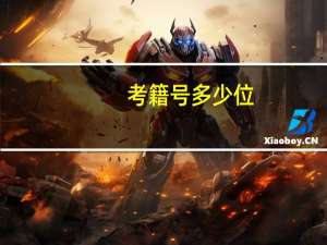 考籍号多少位