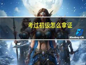 考过初级怎么拿证