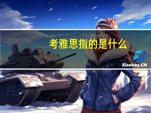 考雅思指的是什么