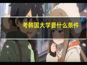 考韩国大学要什么条件