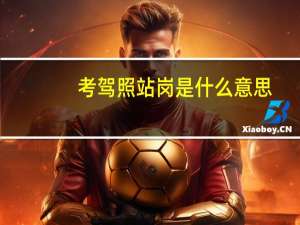 考驾照站岗是什么意思