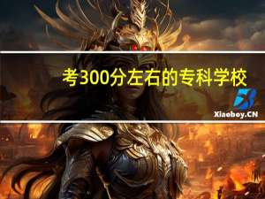 考300分左右的专科学校，有那些是比较好的。介绍一下。。。
