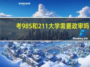 考985和211大学需要政审吗