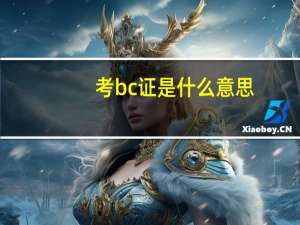 考bc证是什么意思