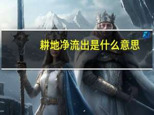 耕地净流出是什么意思（母带流出是什么意思）
