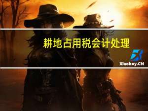 耕地占用税会计处理