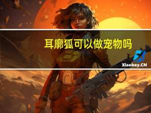 耳廓狐可以做宠物吗